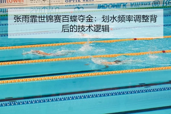 zhang-yu-fei-shi-jin-sai-bai-die-duo-jin-hua-shui-pin-lv-tiao-zheng-bei-hou-de-ji-shu-luo-ji-3-635.jpg
